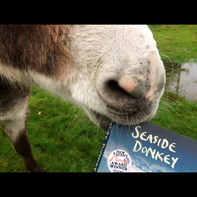 Taste-tested by Wales's favourite donkey